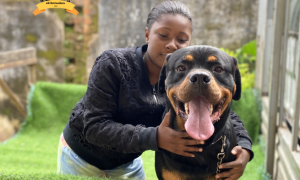 Armani the soft giant